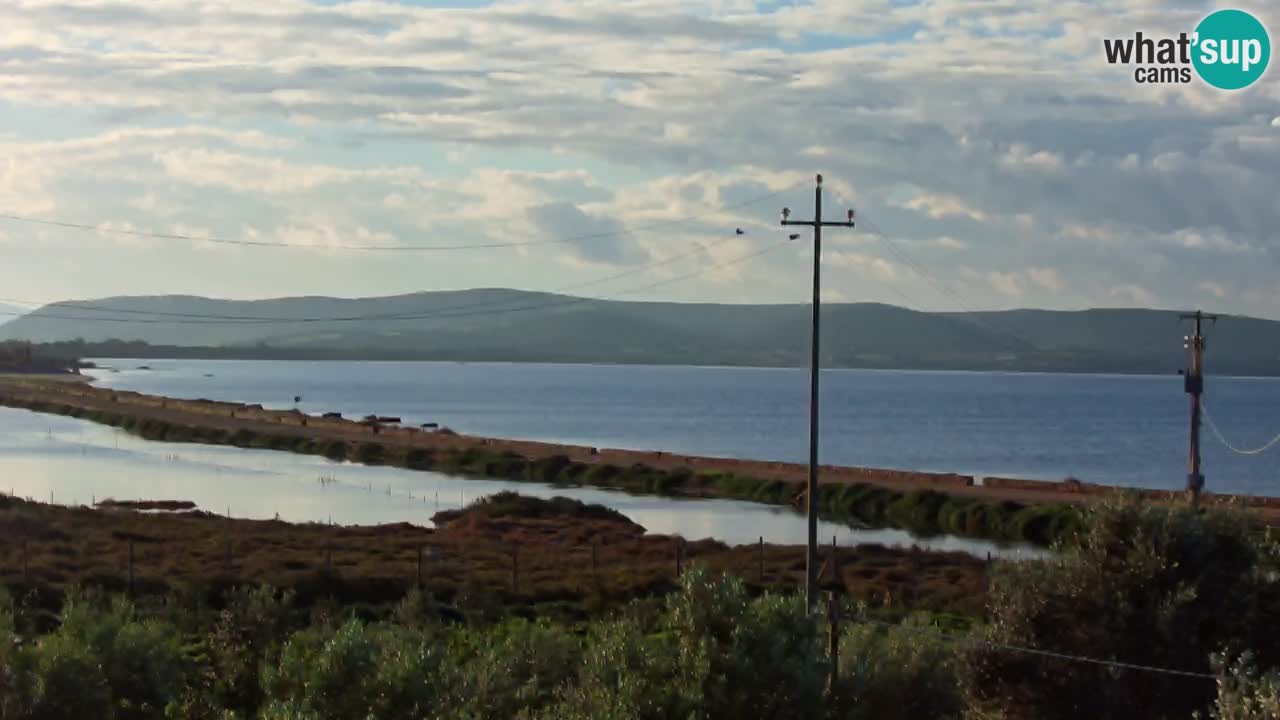 Strand Porto Botte webcam | Sardinien