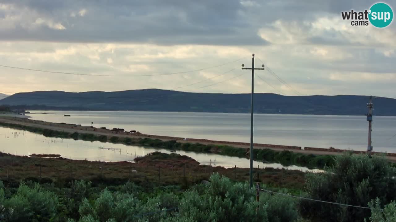 Beach Porto Botte webcam | Sardinia