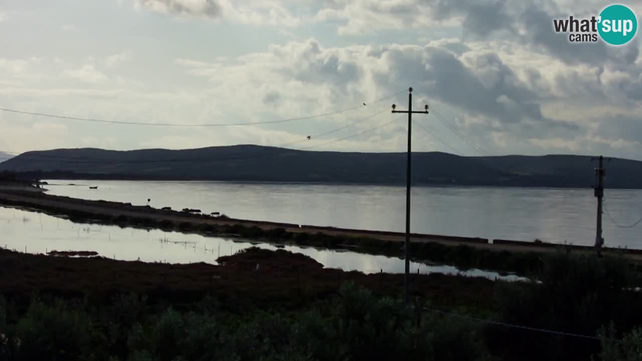 Beach Porto Botte webcam | Sardinia