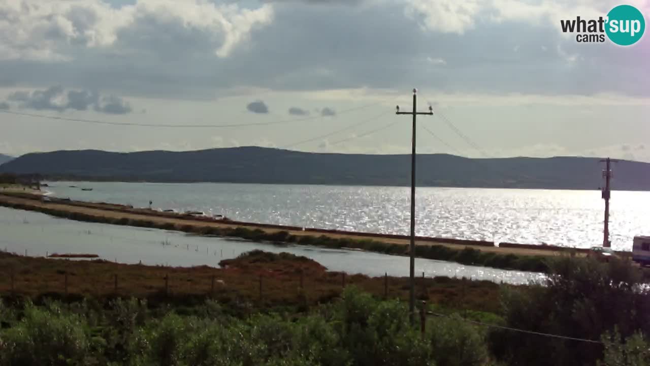 Beach Porto Botte webcam | Sardinia