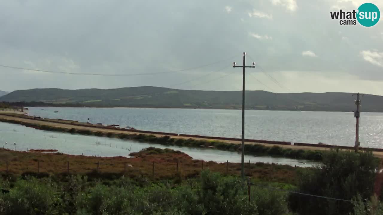 Strand Porto Botte webcam | Sardinien