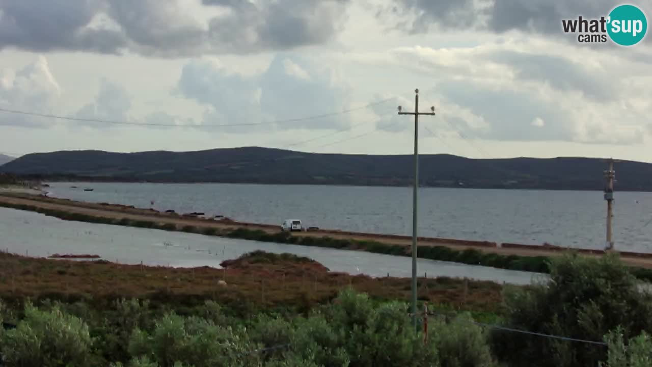 Playa Porto Botte webcam | Cerdena