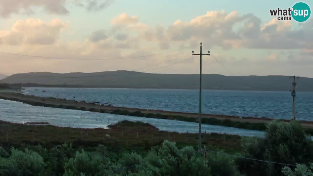 Playa Porto Botte webcam | Cerdena