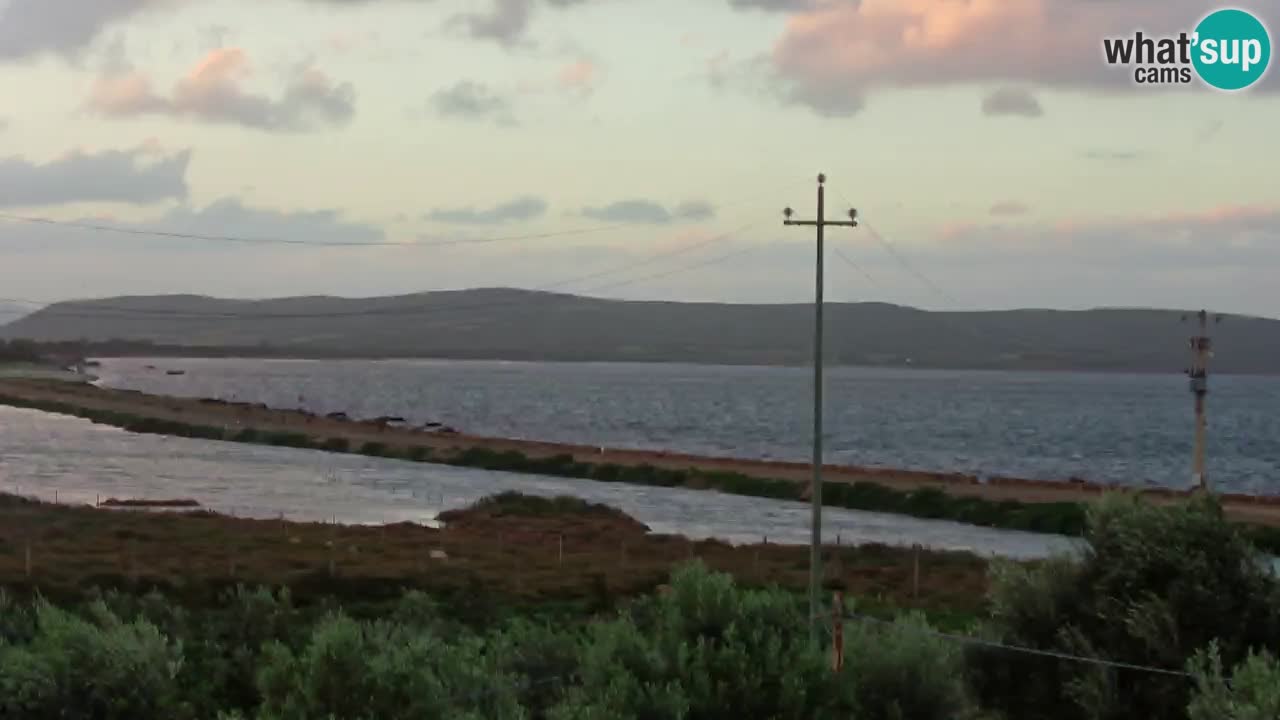 Playa Porto Botte webcam | Cerdena