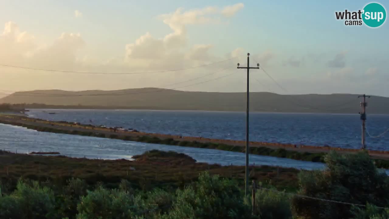 Webcam Porto Botte spiaggia | Sardegna