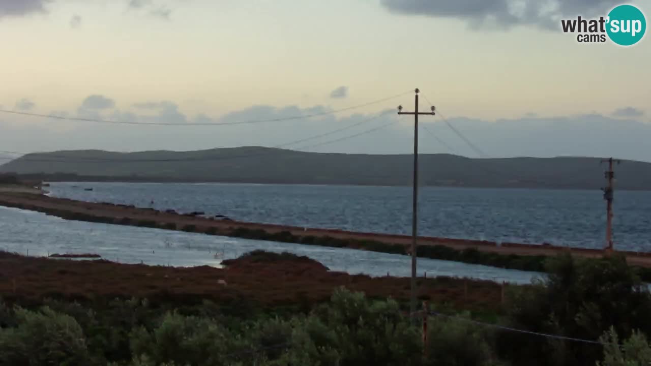 Playa Porto Botte webcam | Cerdena