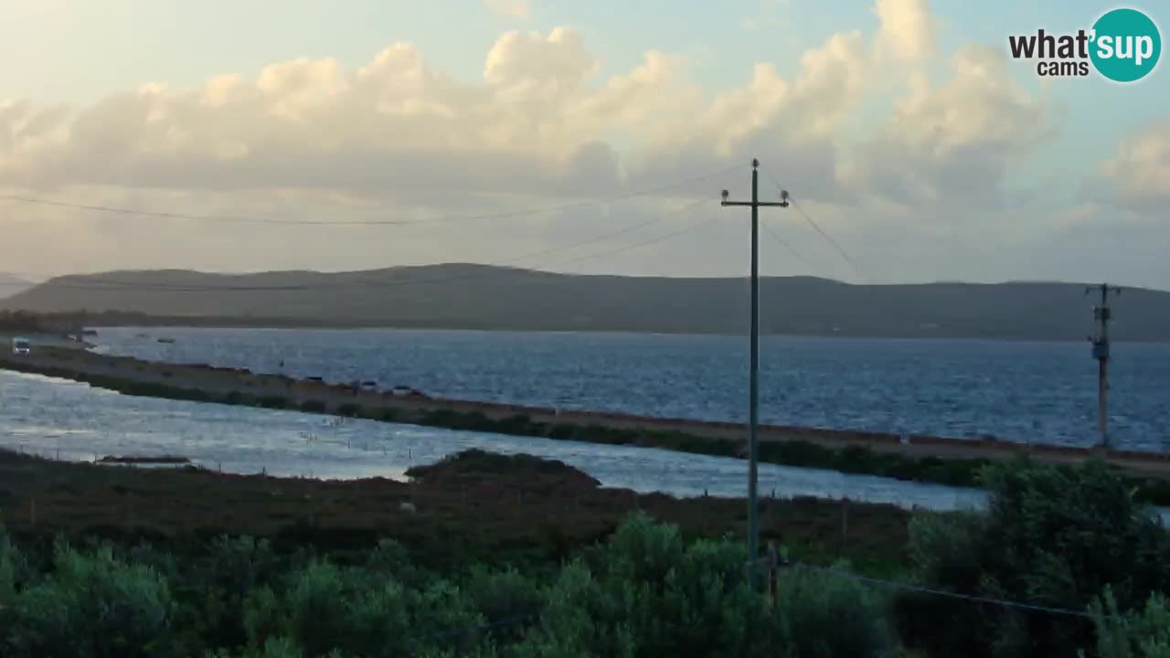 Playa Porto Botte webcam | Cerdena