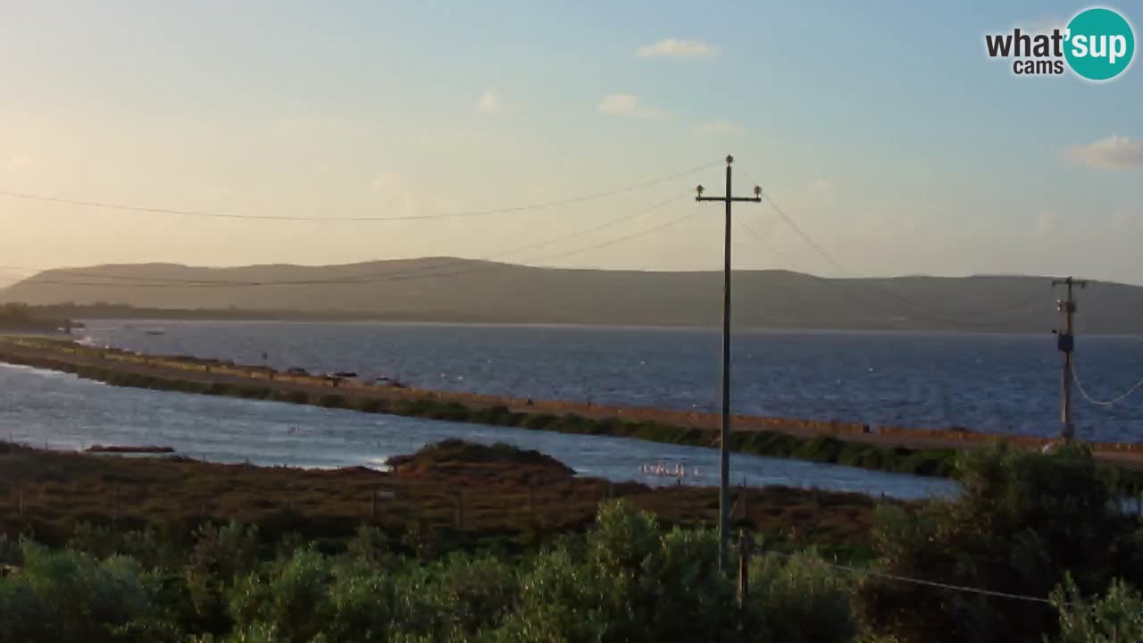 Playa Porto Botte webcam | Cerdena