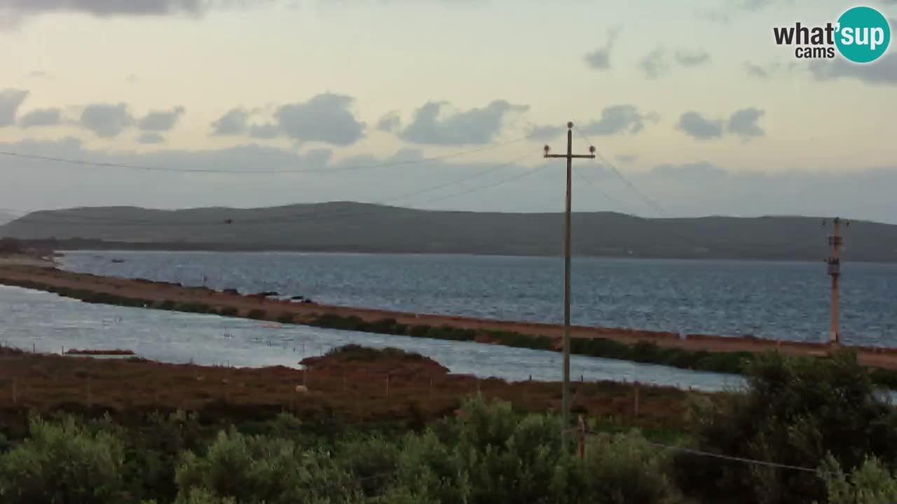 Playa Porto Botte webcam | Cerdena