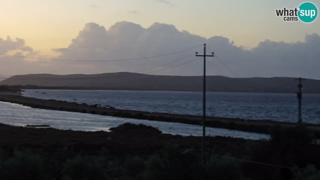 Playa Porto Botte webcam | Cerdena