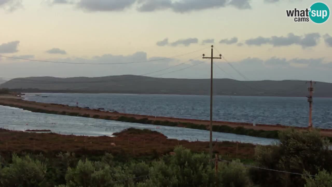 Webcam Porto Botte spiaggia | Sardegna