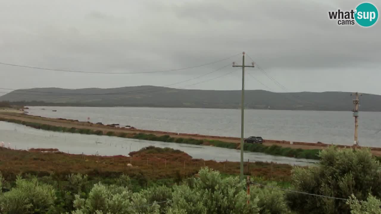 Playa Porto Botte webcam | Cerdena