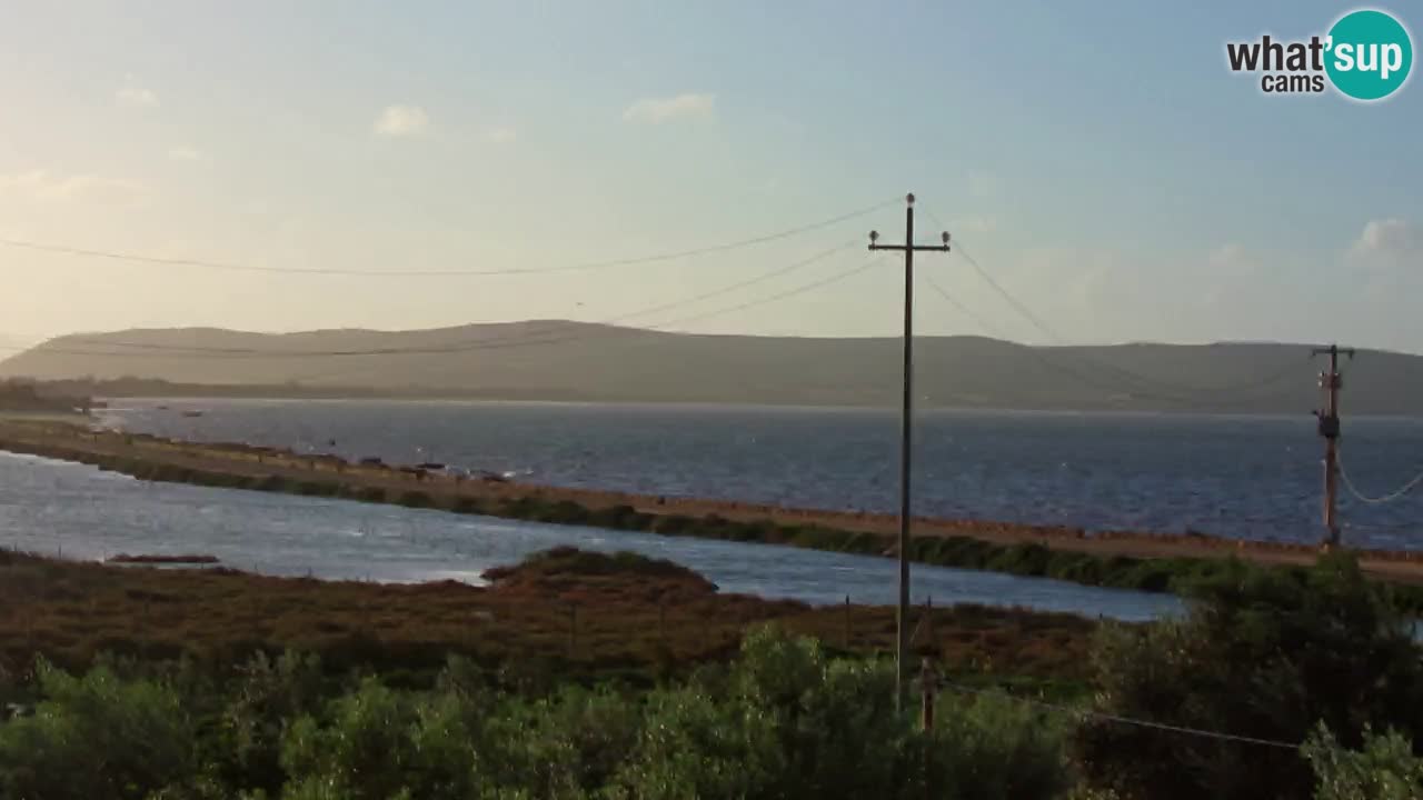 Playa Porto Botte webcam | Cerdena