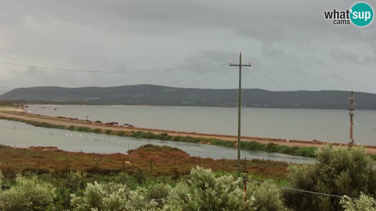 Playa Porto Botte webcam | Cerdena