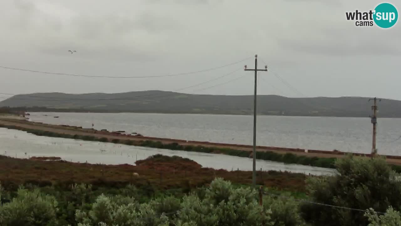 Playa Porto Botte webcam | Cerdena