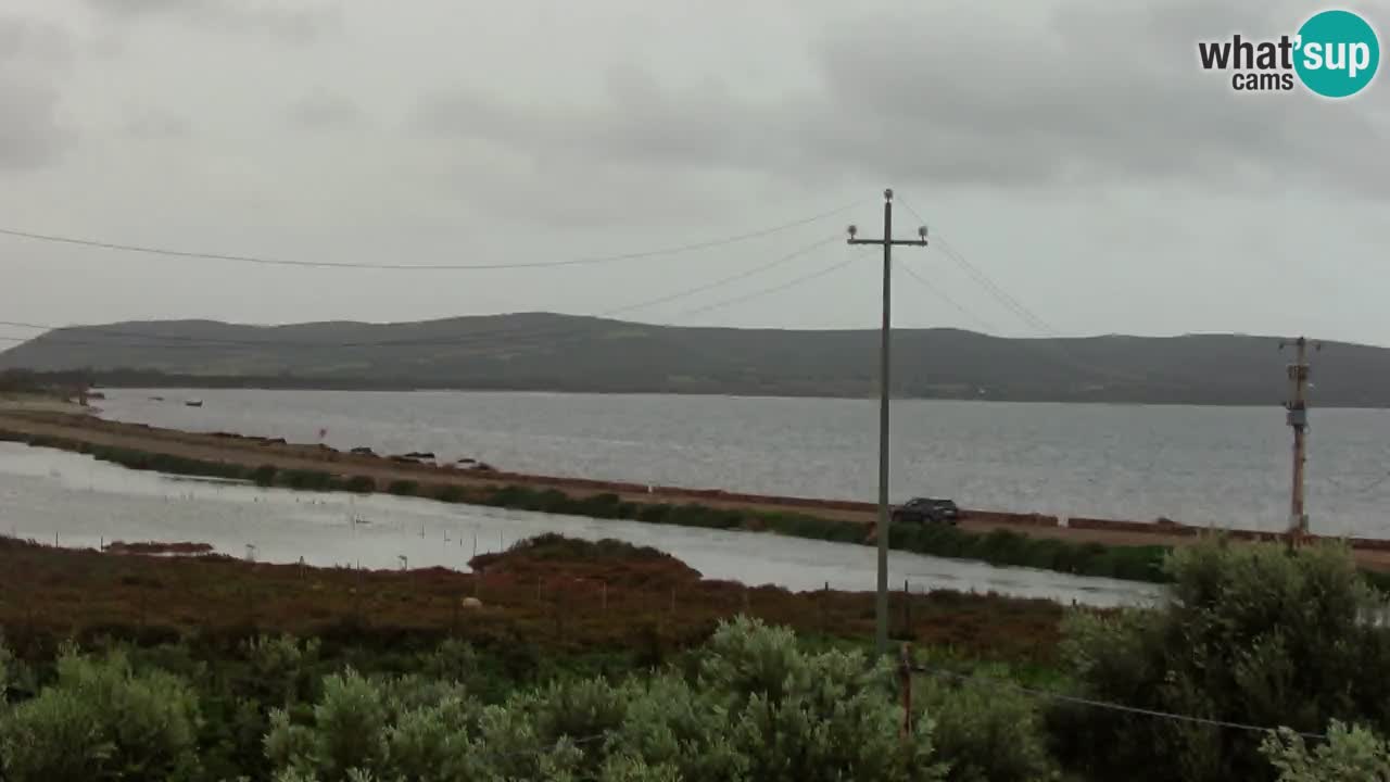 Strand Porto Botte webcam | Sardinien