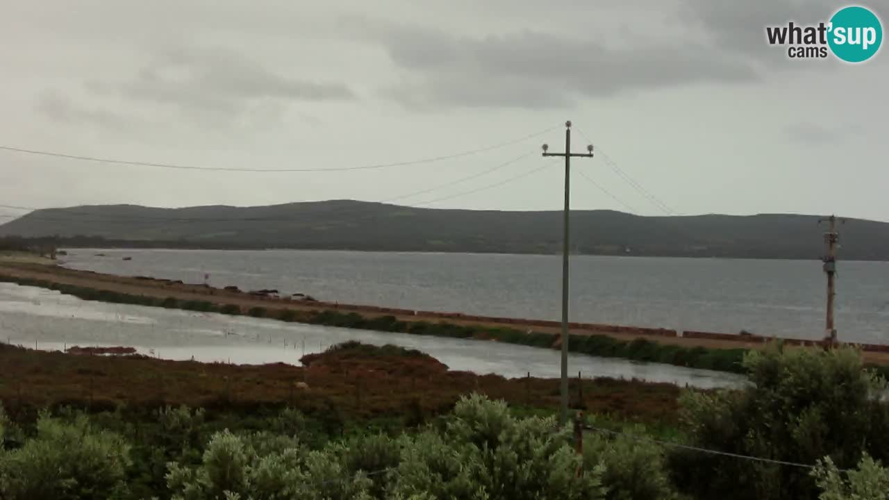 Strand Porto Botte webcam | Sardinien