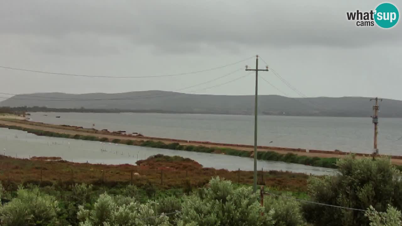 Webcam Porto Botte spiaggia | Sardegna