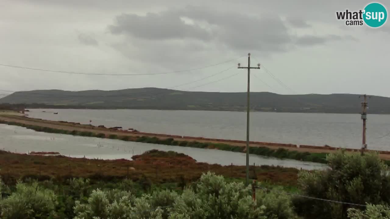 Playa Porto Botte webcam | Cerdena