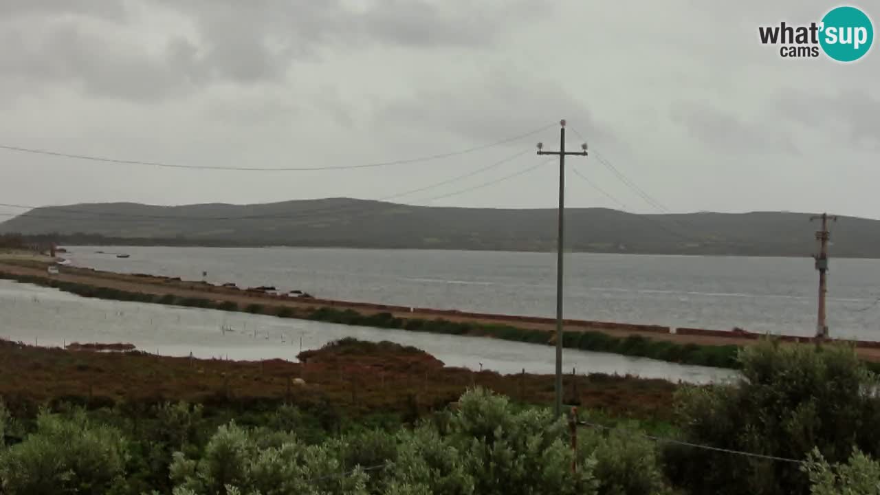 Webcam Porto Botte spiaggia | Sardegna