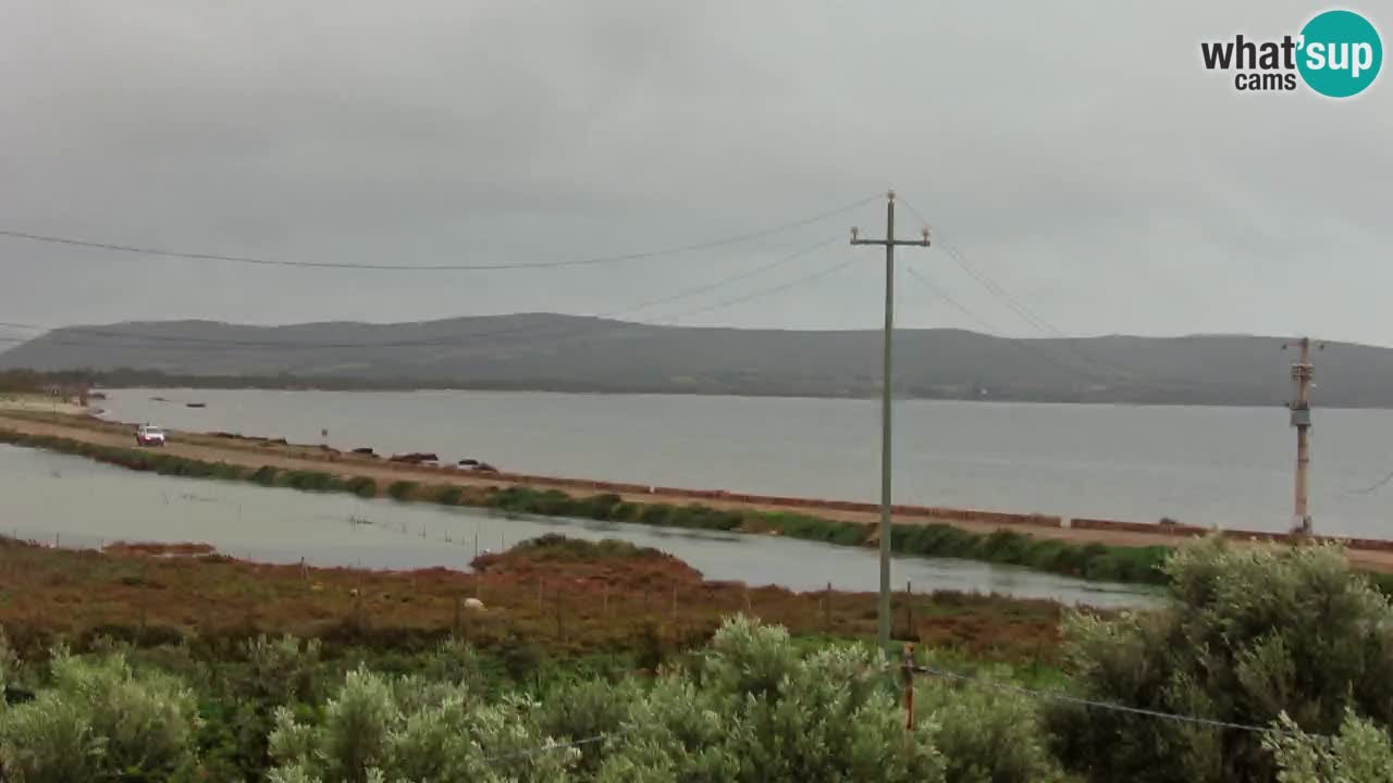 Playa Porto Botte webcam | Cerdena