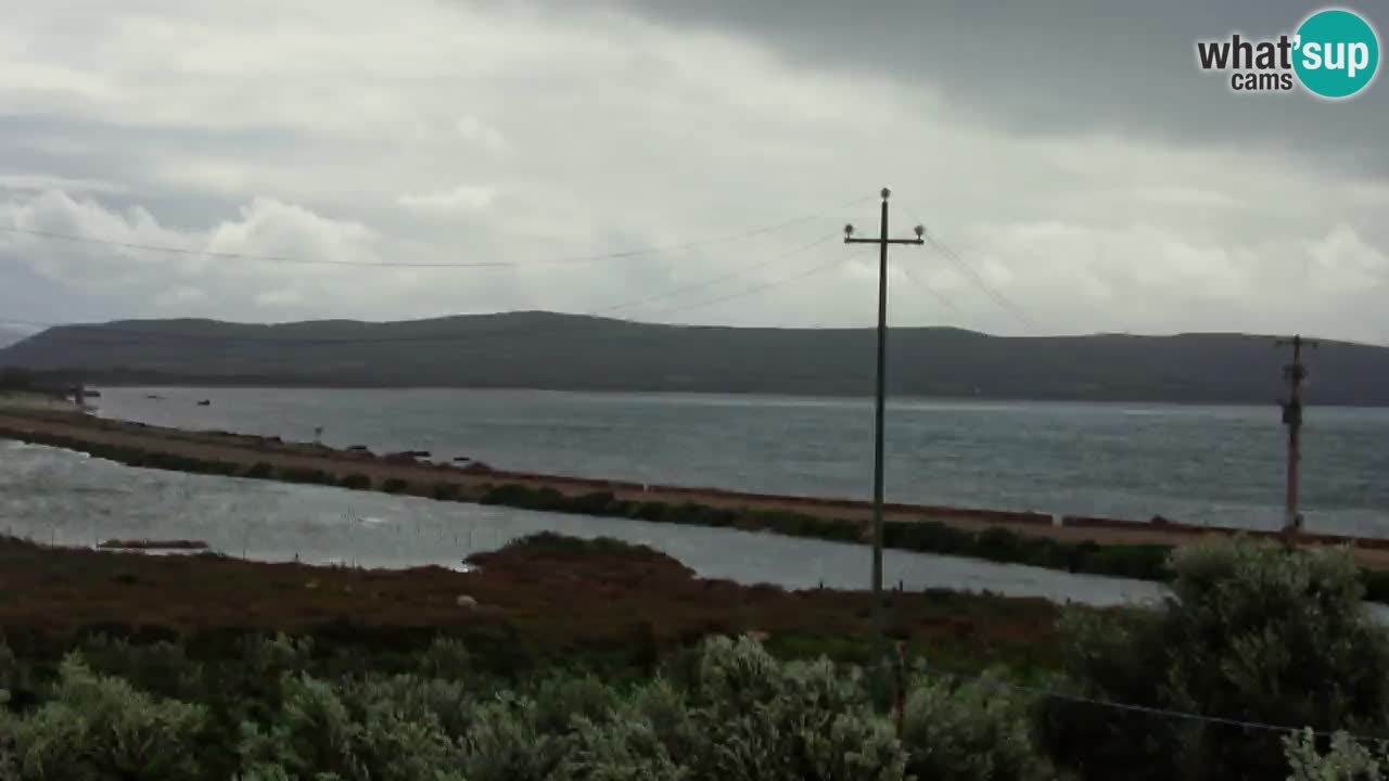 Webcam Porto Botte spiaggia | Sardegna