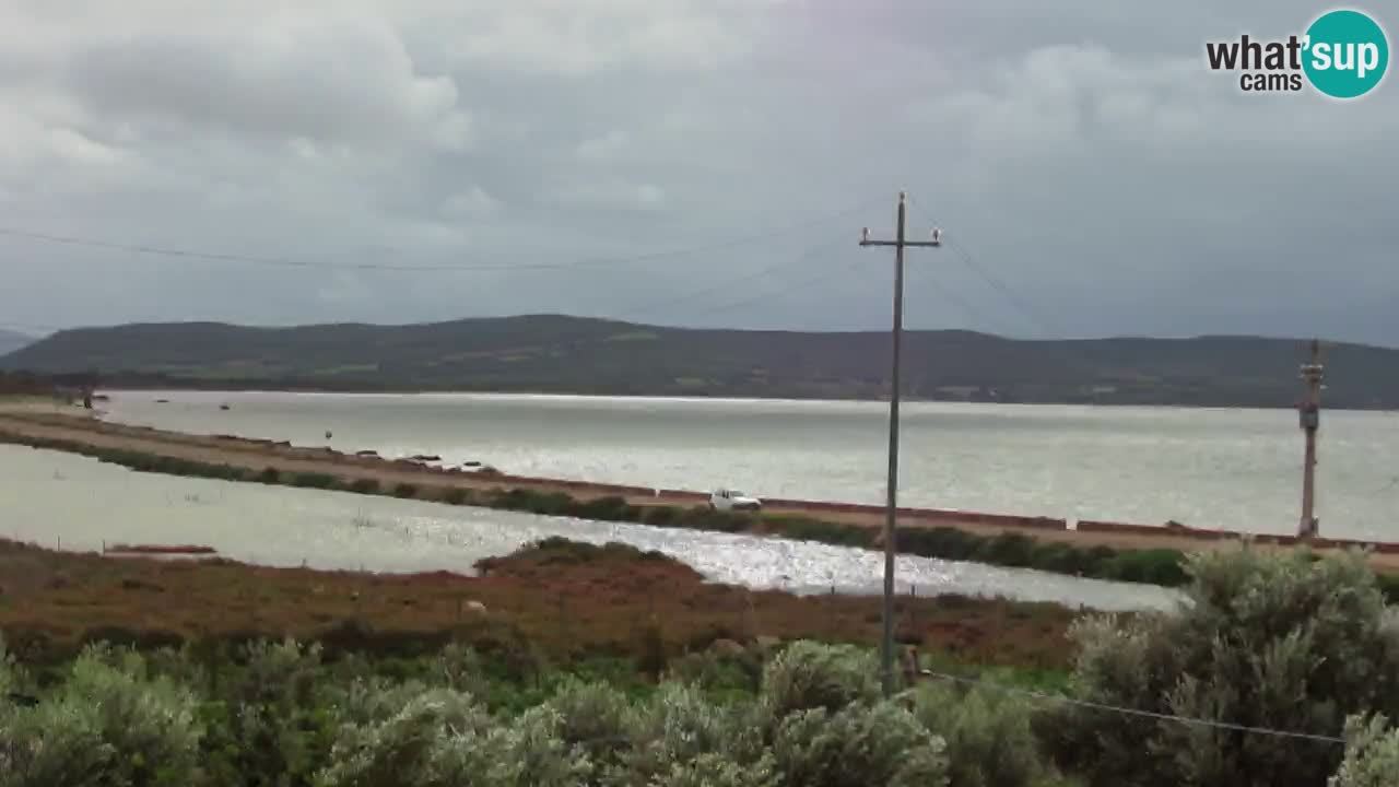 Strand Porto Botte webcam | Sardinien