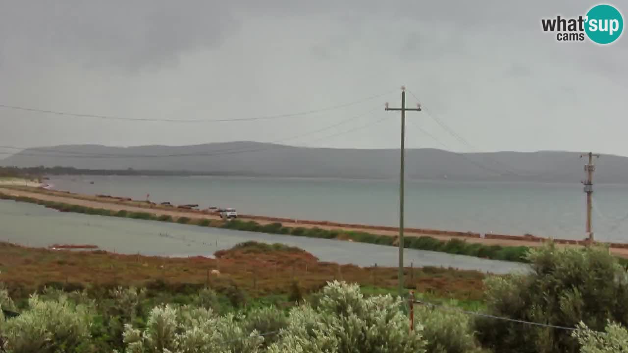 Playa Porto Botte webcam | Cerdena