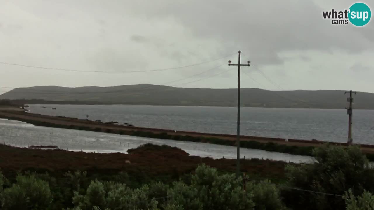 Webcam Porto Botte spiaggia | Sardegna