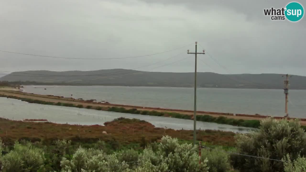 Strand Porto Botte webcam | Sardinien