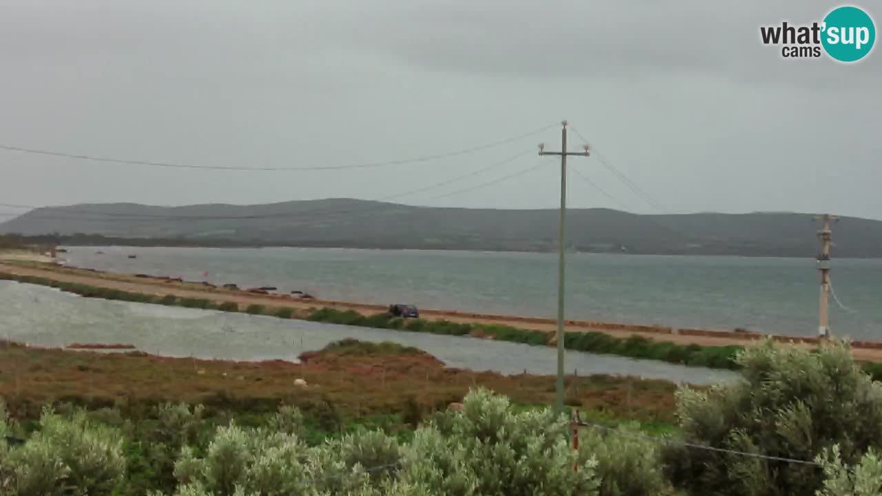 Playa Porto Botte webcam | Cerdena