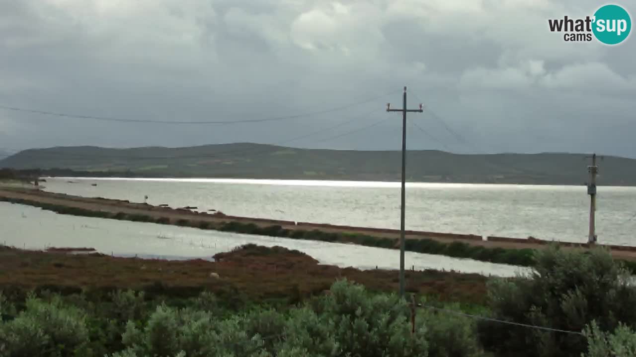 Strand Porto Botte webcam | Sardinien