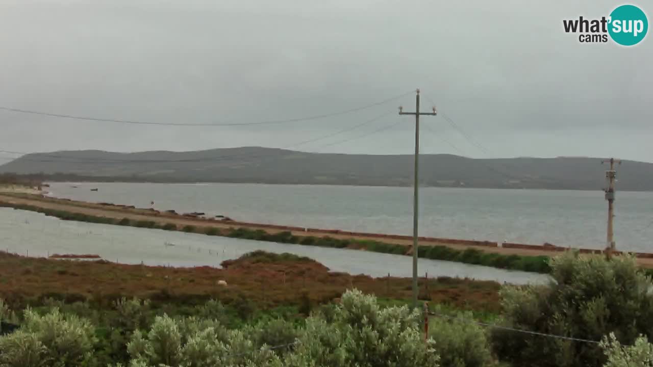 Strand Porto Botte webcam | Sardinien