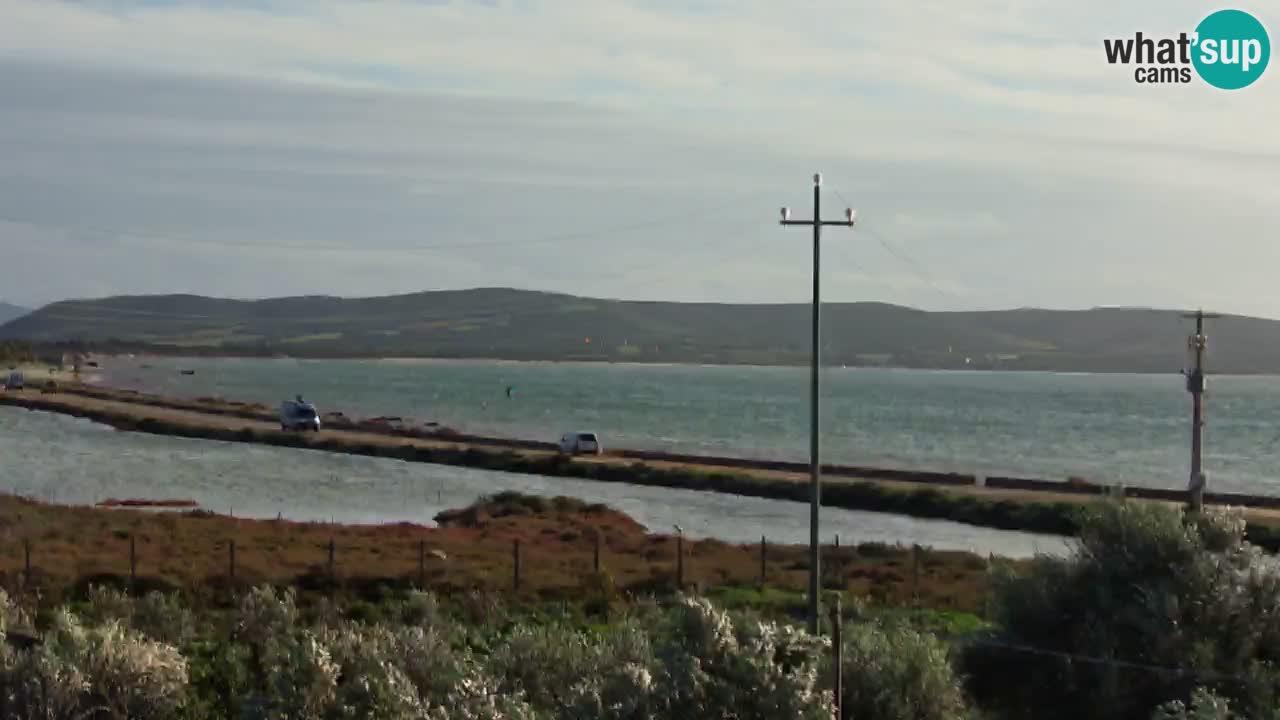 Playa Porto Botte webcam | Cerdena