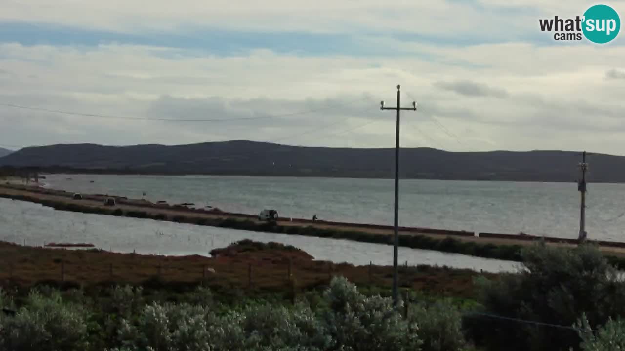 Playa Porto Botte webcam | Cerdena