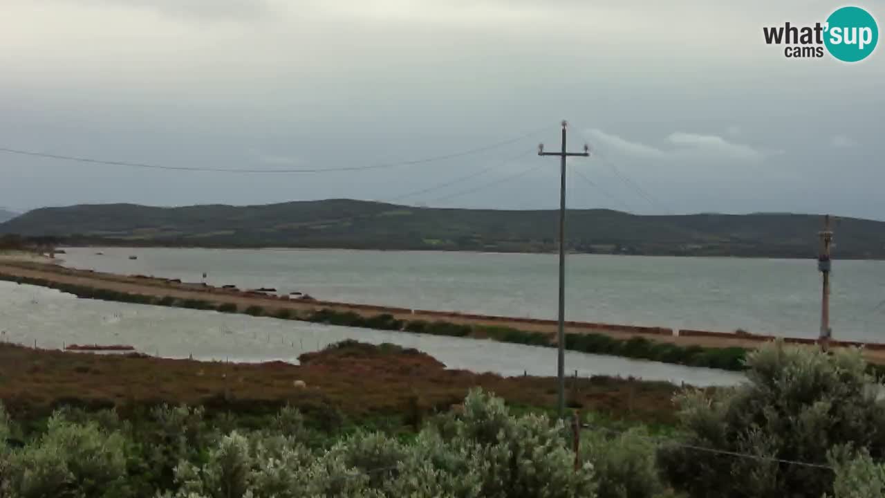 Webcam Porto Botte spiaggia | Sardegna