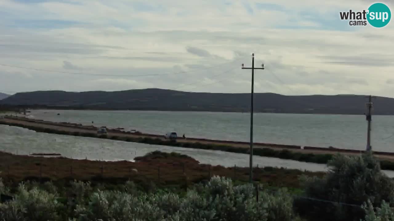 Webcam Porto Botte spiaggia | Sardegna