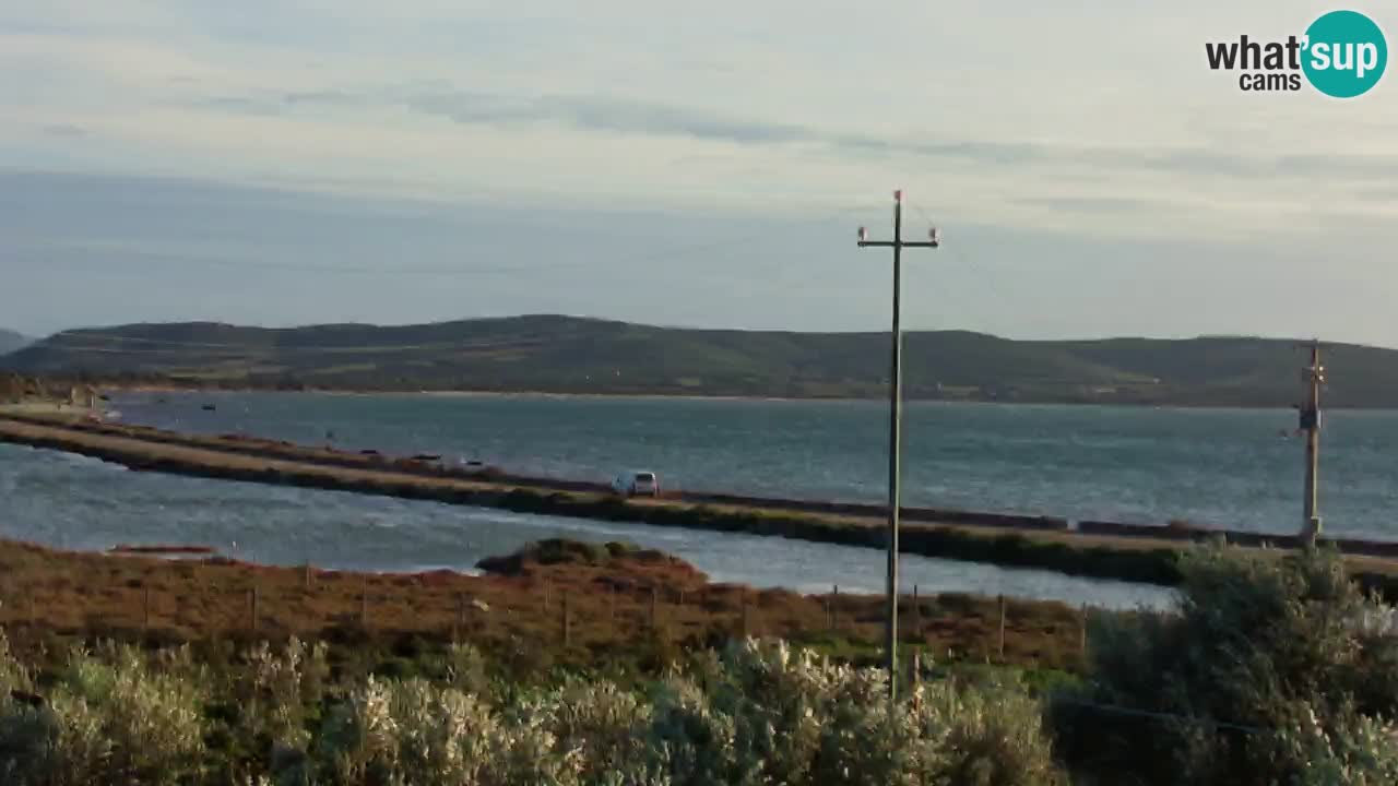 Webcam Porto Botte spiaggia | Sardegna