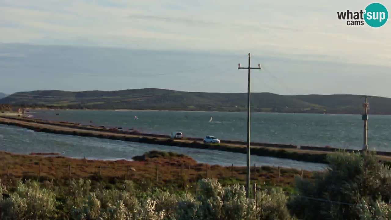 Playa Porto Botte webcam | Cerdena