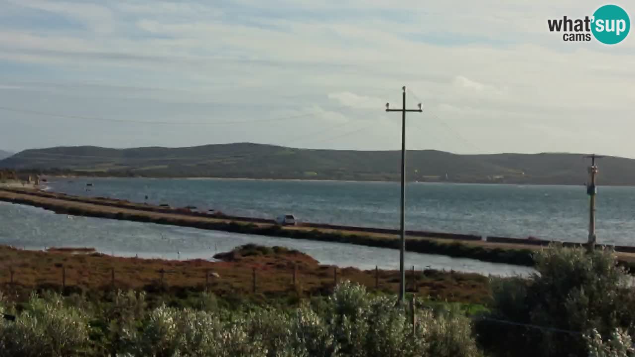 Webcam Porto Botte spiaggia | Sardegna