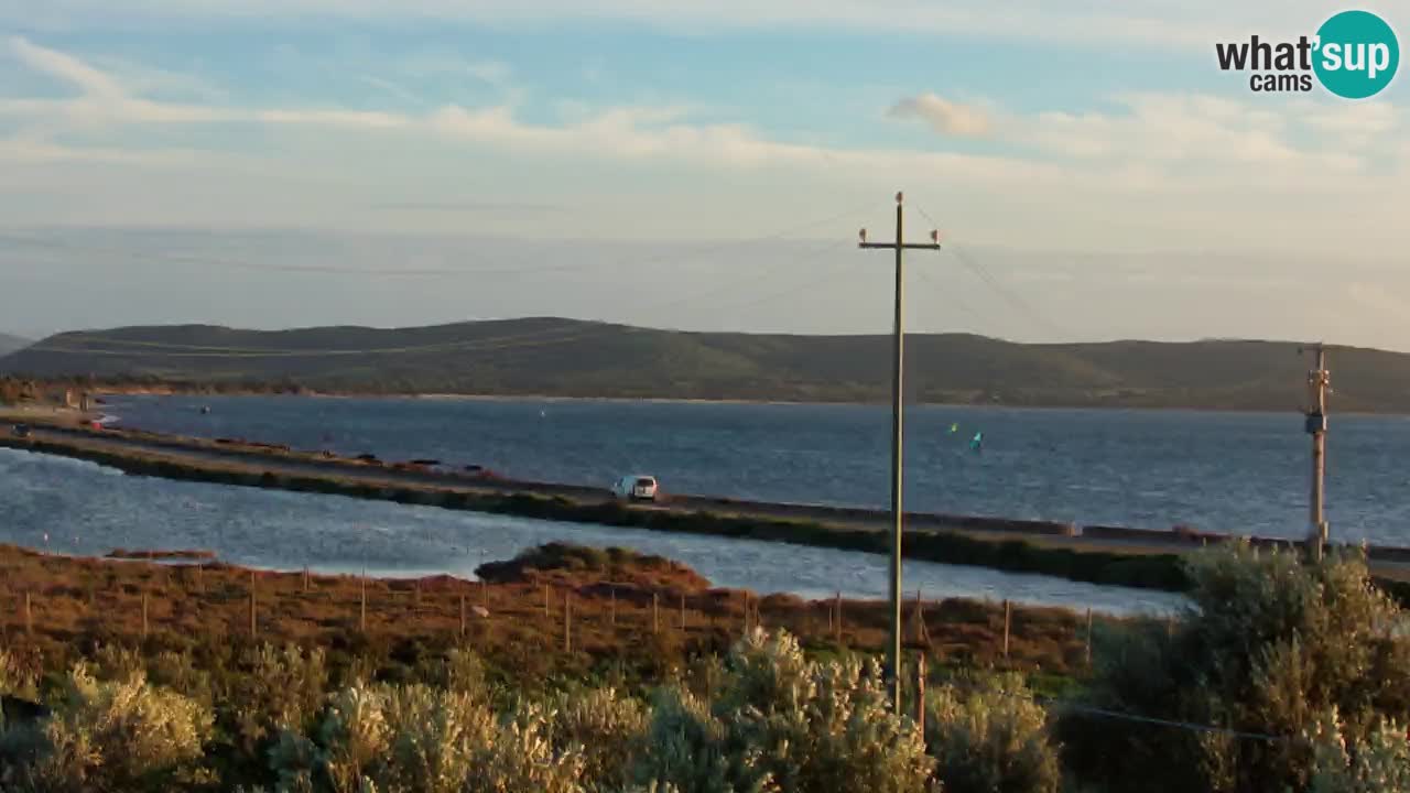 Playa Porto Botte webcam | Cerdena