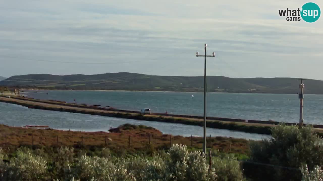 Playa Porto Botte webcam | Cerdena