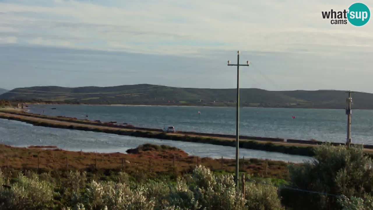 Webcam Porto Botte spiaggia | Sardegna