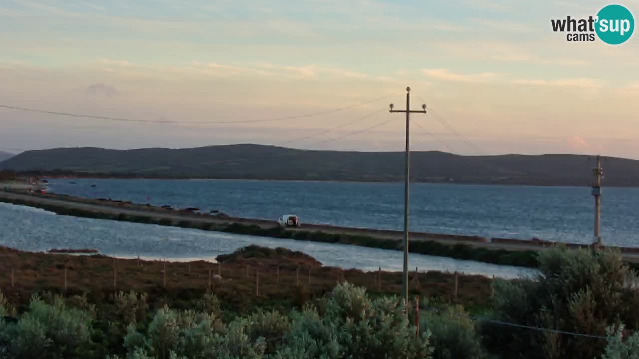 Playa Porto Botte webcam | Cerdena