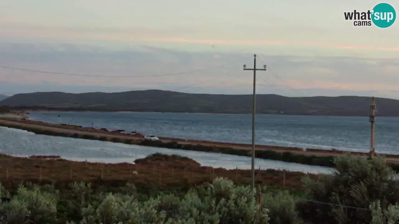 Playa Porto Botte webcam | Cerdena