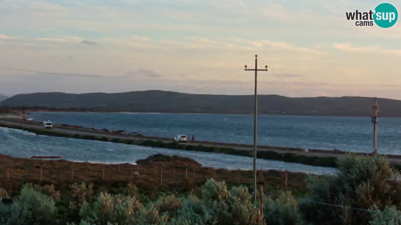 Playa Porto Botte webcam | Cerdena