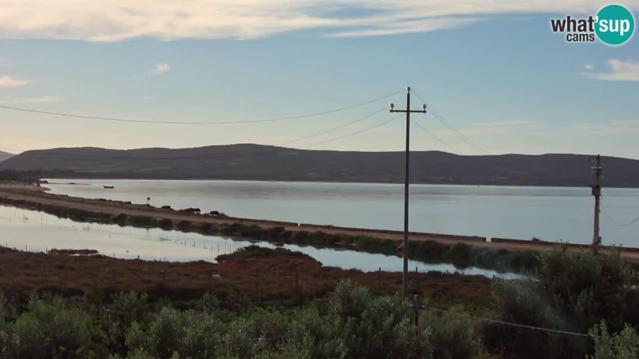 Webcam Porto Botte spiaggia | Sardegna