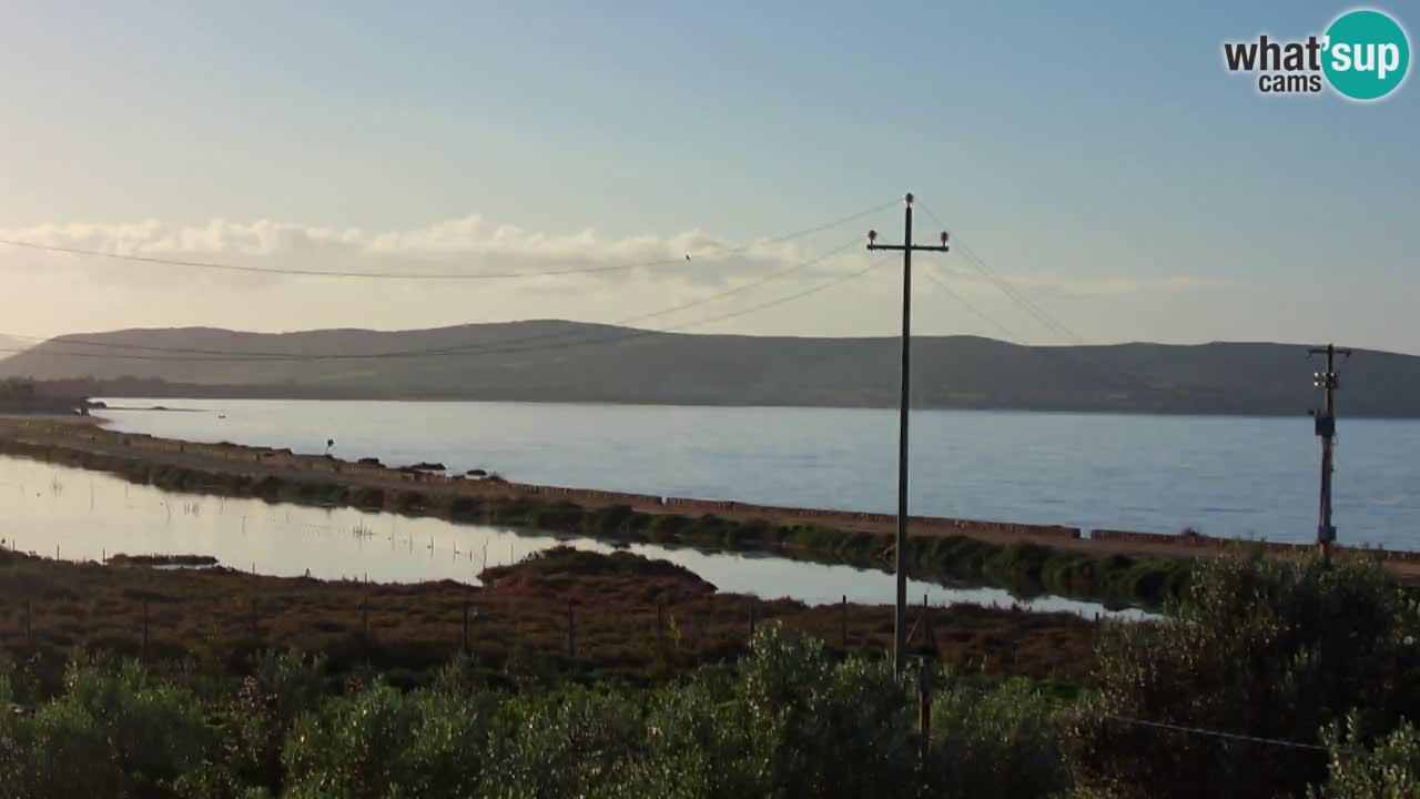 Webcam Porto Botte spiaggia | Sardegna