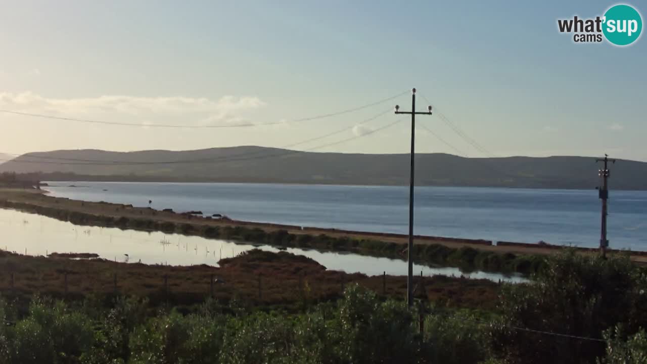 Playa Porto Botte webcam | Cerdena