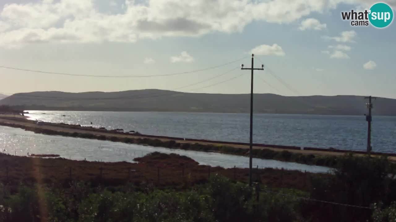 Strand Porto Botte webcam | Sardinien